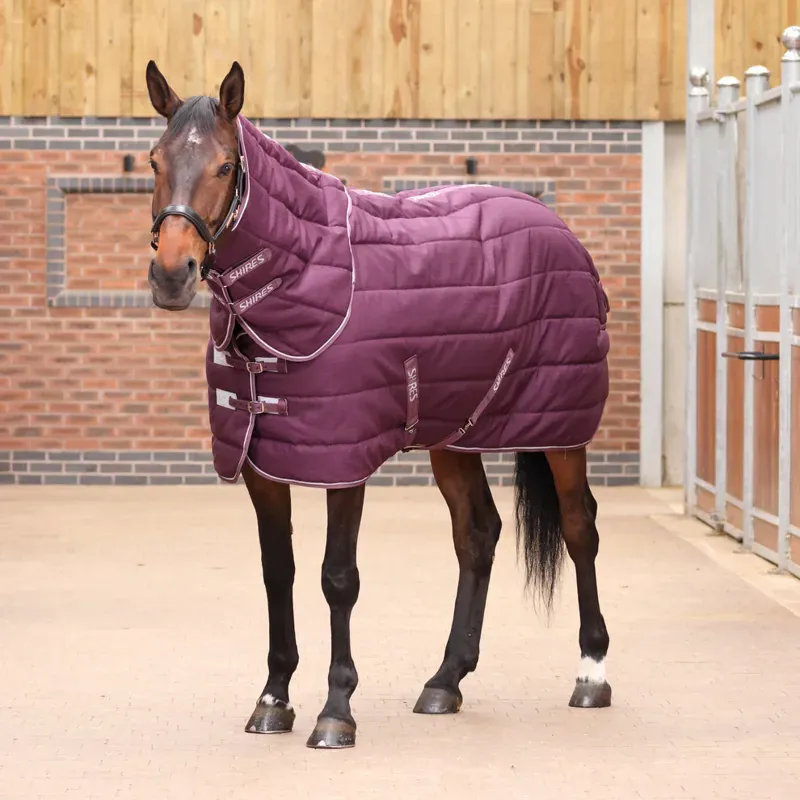 Tempest Original 300g Stable Rug and Neck Set Burgundy