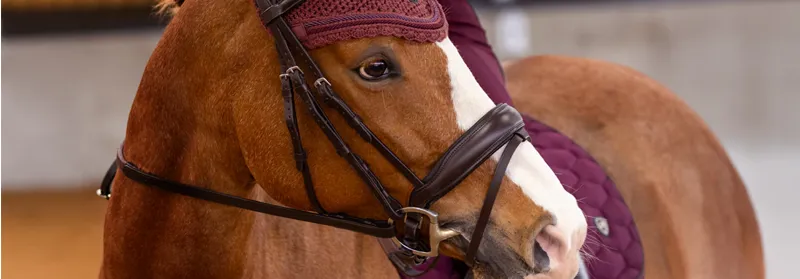 Sale Horse-Wear