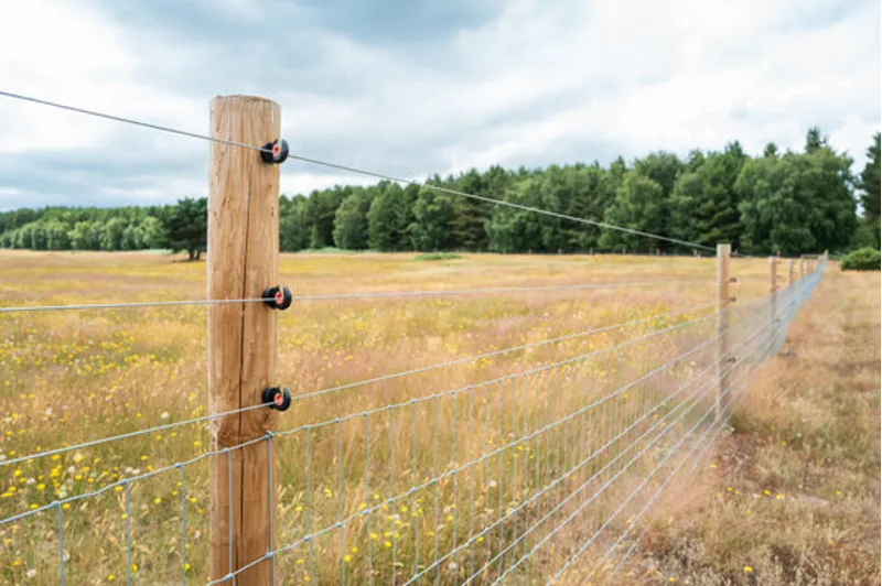 Fencing