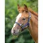 Shires Foal Headcollar In Blue