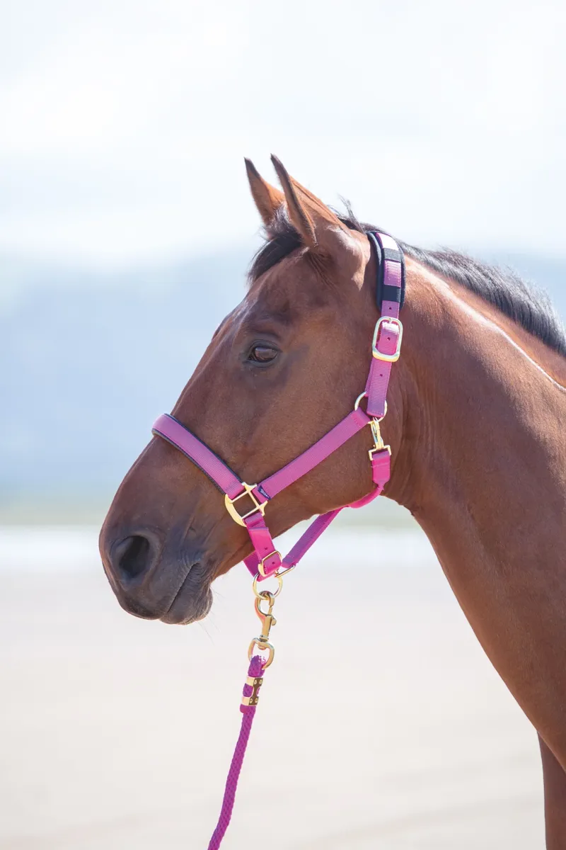 Topaz Nylon Headcollar RASPBERRY cob