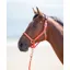 Shires Topaz Small Pony Nylon Headcollar In Orange