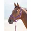 Shires Topaz Cob Nylon Headcollar In Purple