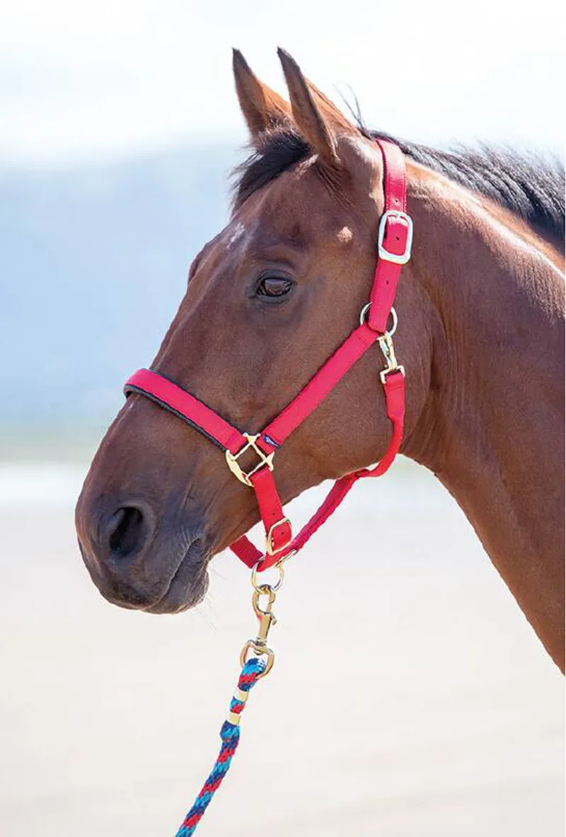 Shires Topaz Cob Nylon Headcollar In Red