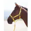 Shires Topaz X Full Nylon Headcollar In Yellow