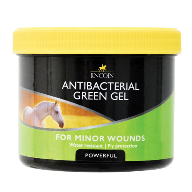 Lincoln Antibac Green Gel 4131