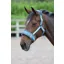 Shires Fleece Lined Lunge Cavesson In Blue