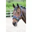 Shires Fleece Lined Lunge Cavesson In Navy
