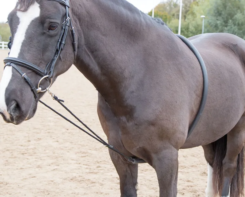 Shires One Size Soft Lunging Aid In Black