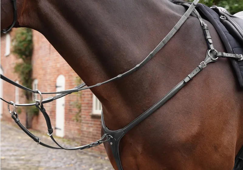 Martingales & Breastplates
