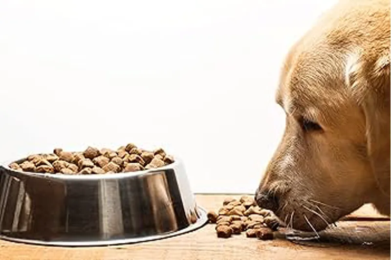 Pet Healthcare