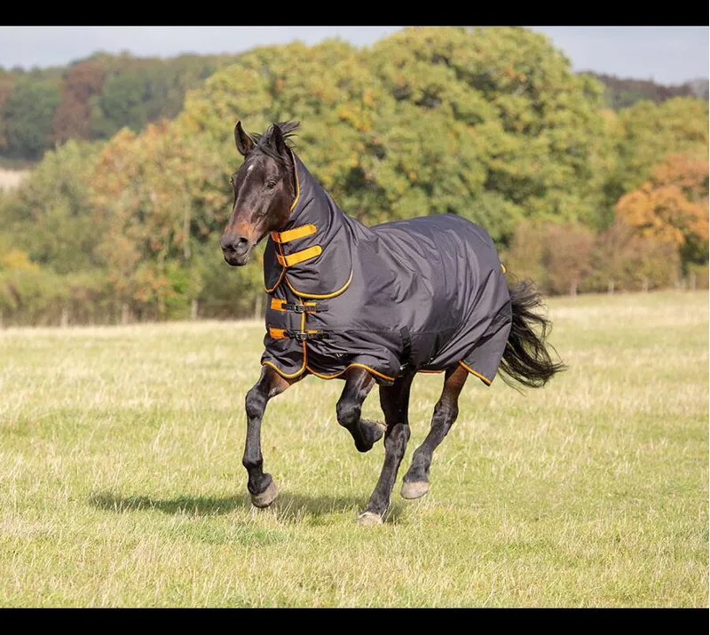 Tempest Original 200 Combo Turnout Rug in Black