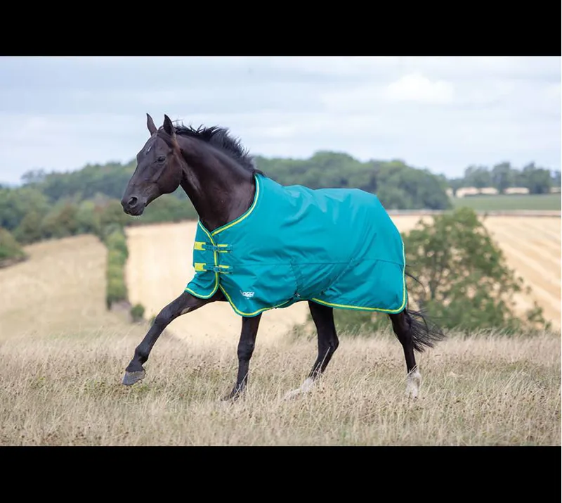Tempest Original 50 Turnout Rug in Green