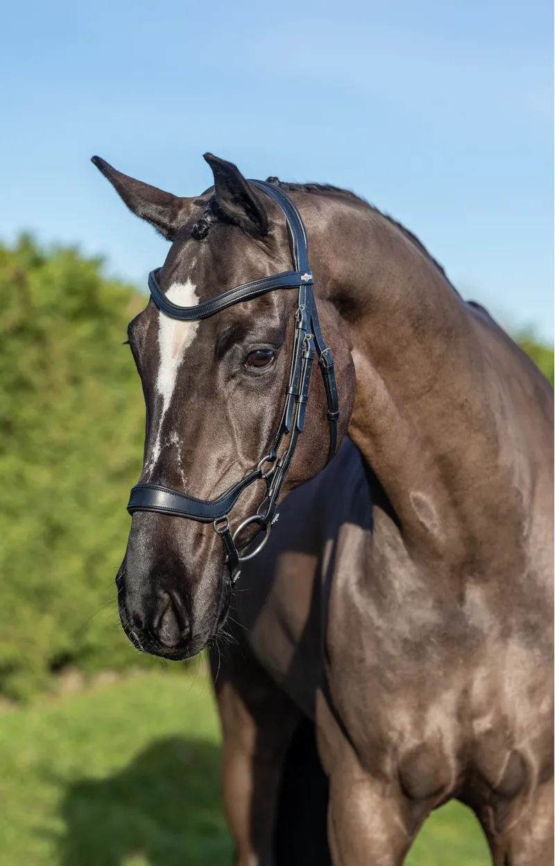 LeMieux Arika Drop Bridle Black/Silver-3