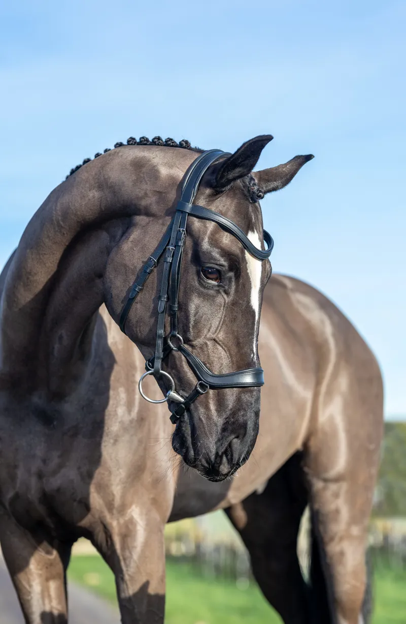 LeMieux Arika Drop Bridle Black/Silver-1
