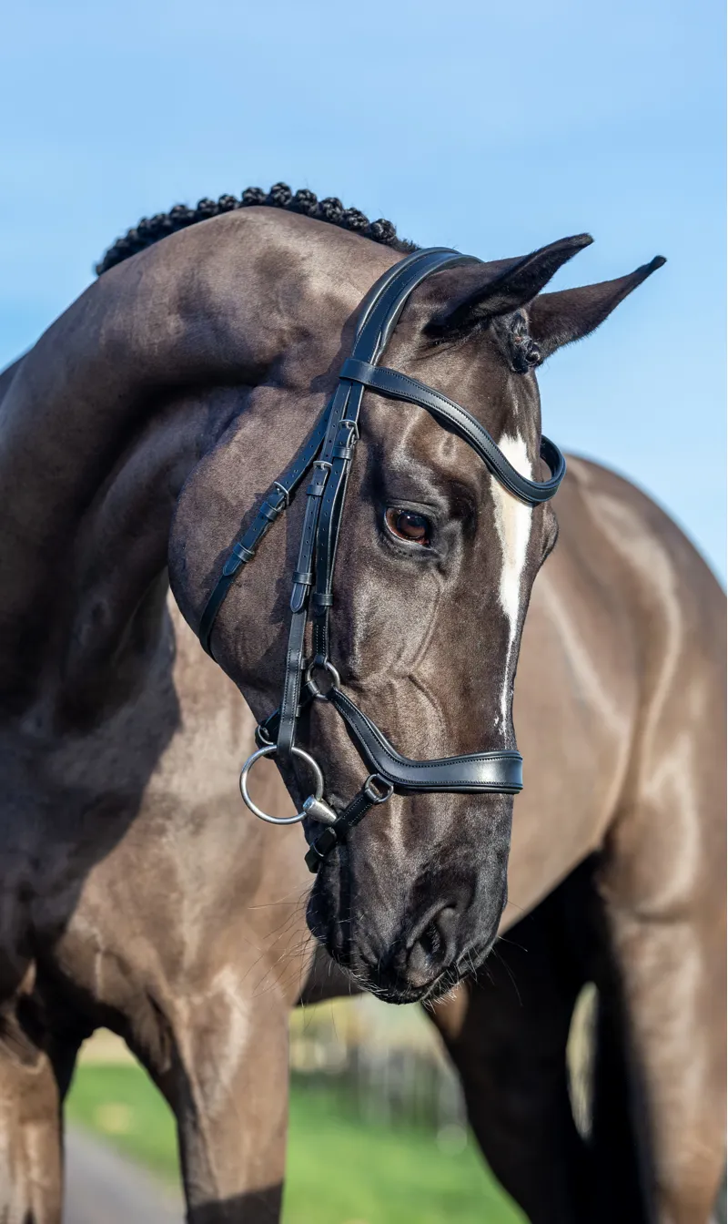 LeMieux Arika Drop Bridle Black/Silver-2