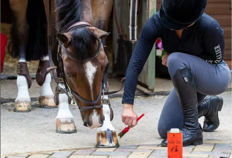 Hoof Care