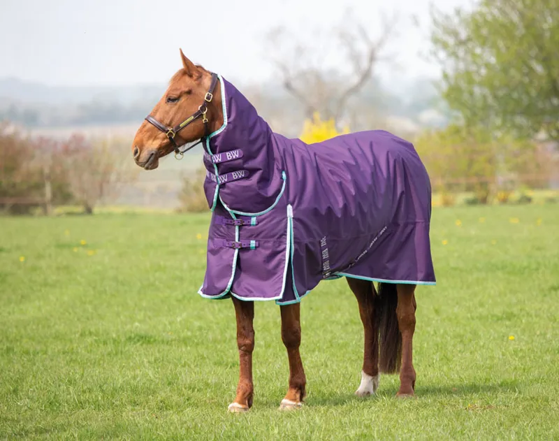 SALE  Bridleway Ontario Combo Neck Waterproof Turnout Horse Rug 220g Medium 5ft9 