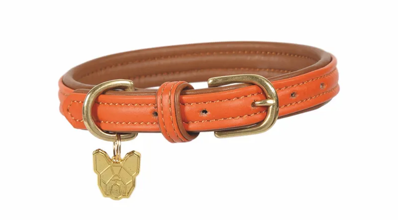 Digby and Fox Padded XL Leather Dog Collar in Orange