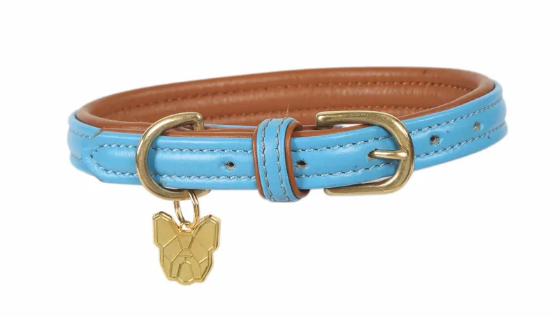 Digby and Fox Padded XXL Leather Dog Collar in Blue