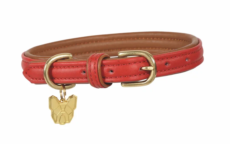 Digby and Fox Padded XXL Leather Dog Collar in Red