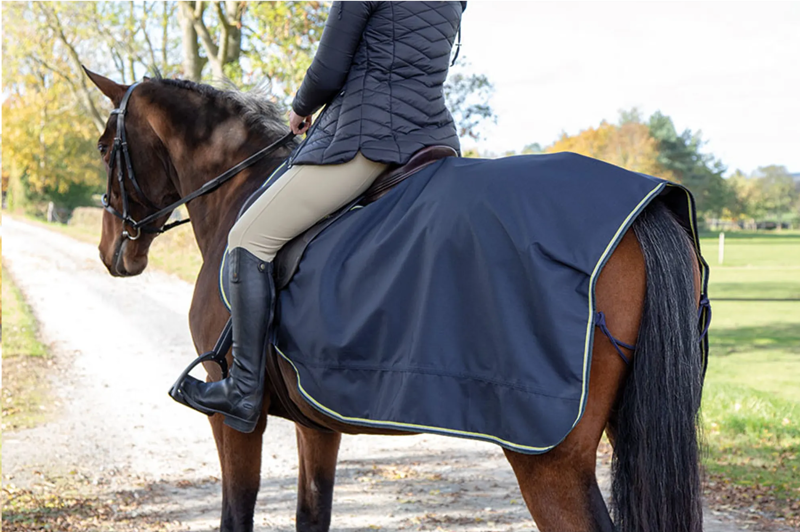 Exercise Rugs