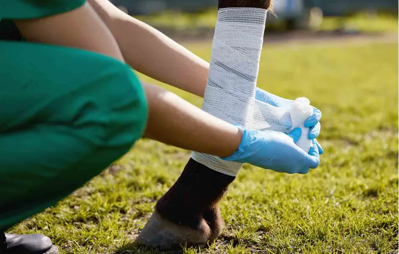 First Aid & Healing