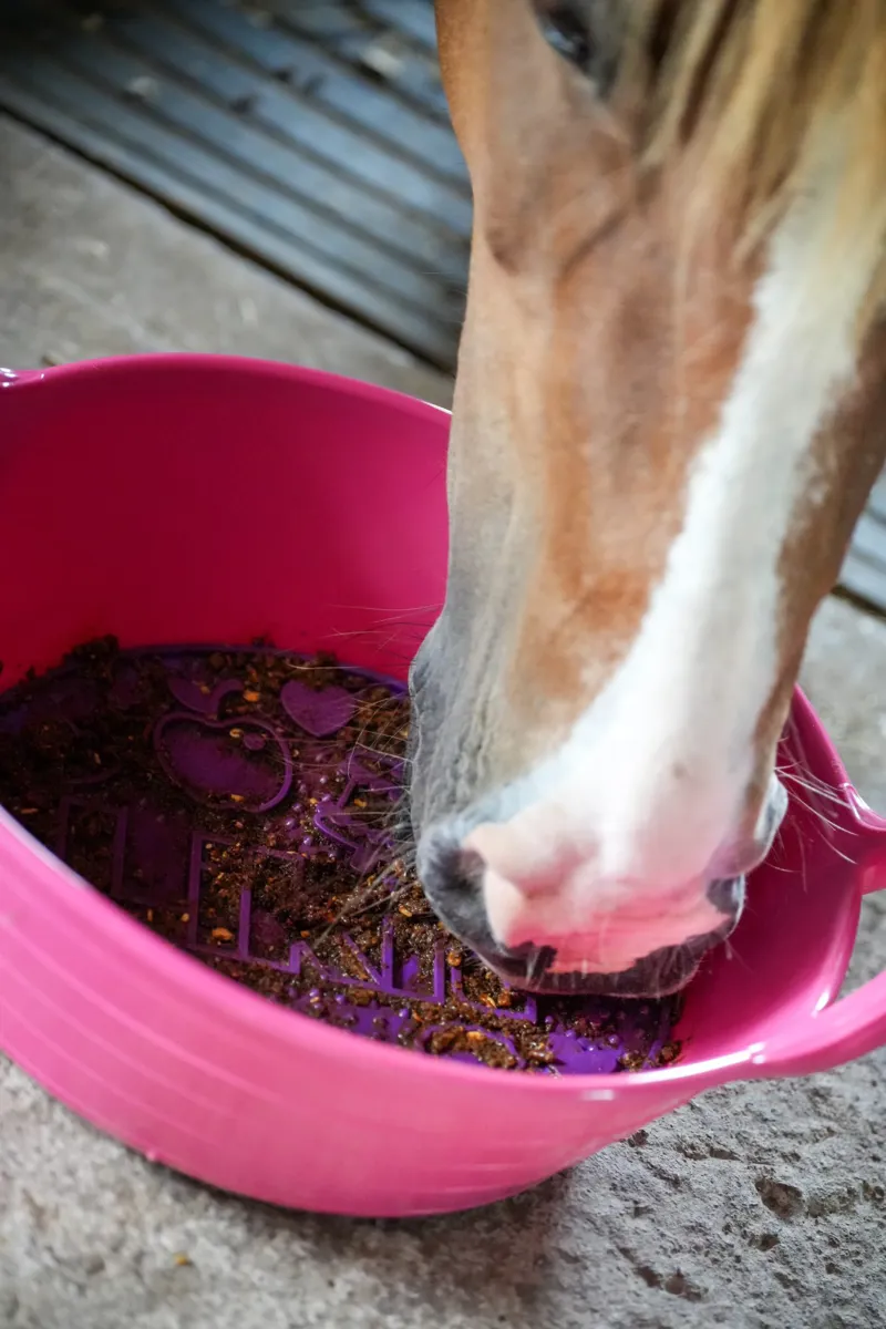 Likit Graze Maze Blue-2