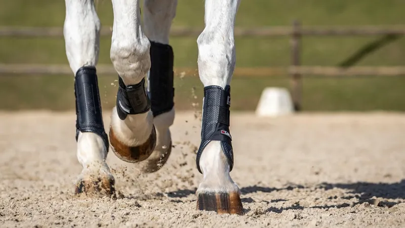 Tendon & Fetlock Boots