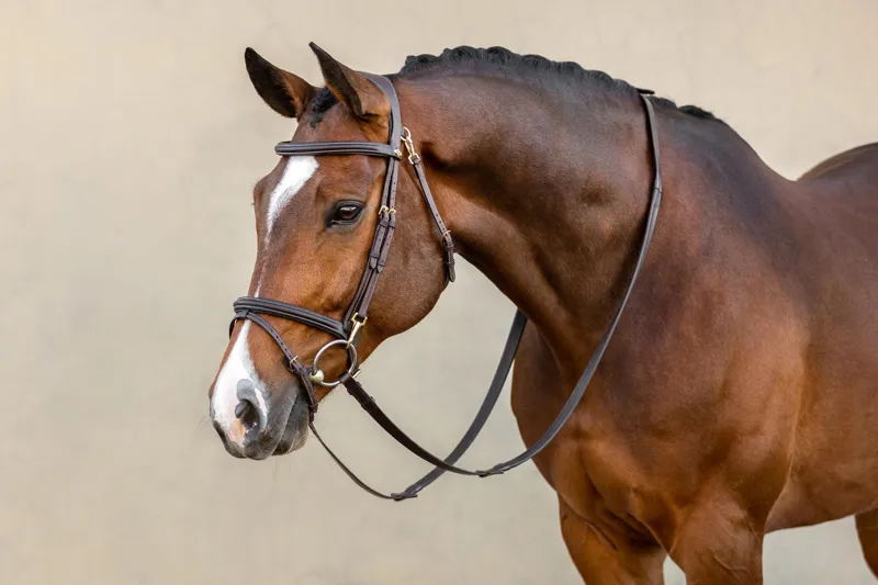 Bridles