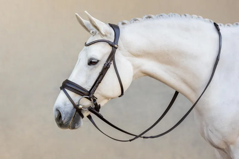 Bridle Accessories