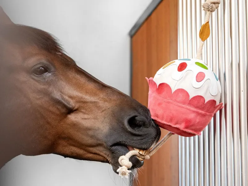 Stable Toys