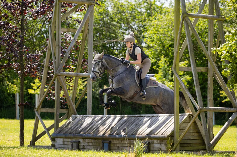 LeMieux Loire Classic GP Square Walnut-1