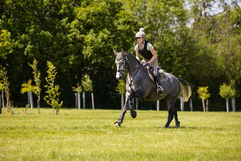 LeMieux Loire Classic GP Square Walnut-2