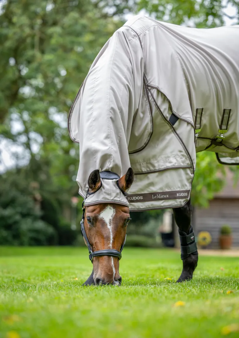 LeMieux Kudos Sweet Itch Fly Rug Stone-2