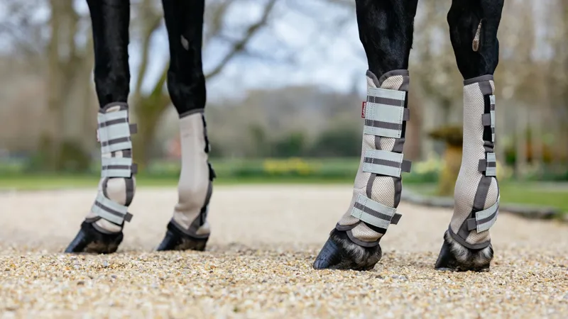 Turnout & Hoof Boots