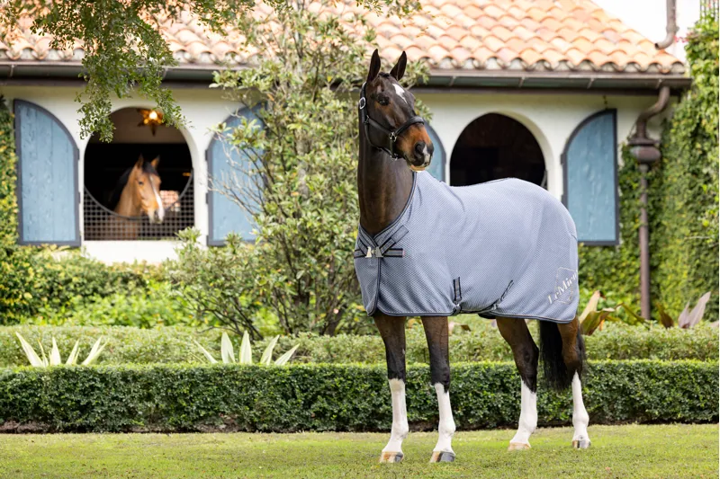 LeMieux Kudos Bamboo Cooler Jay Blue