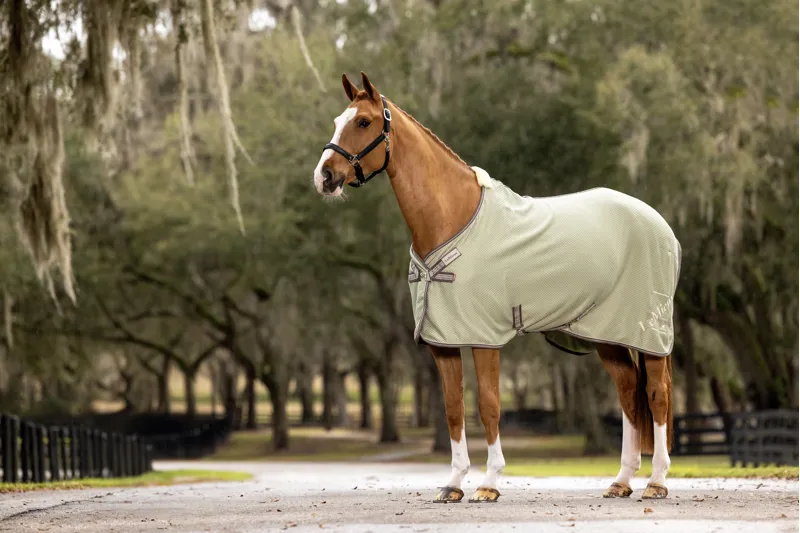 LeMieux Kudos Bamboo Cooler Fern