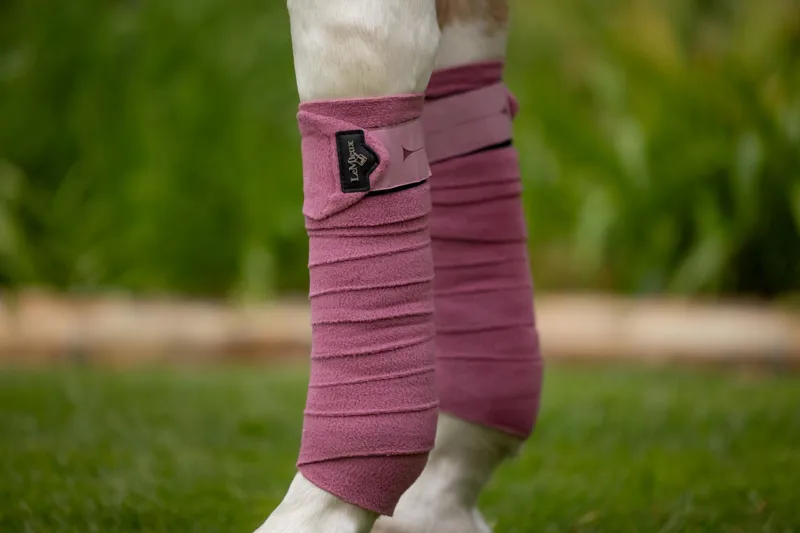Horse Bandages