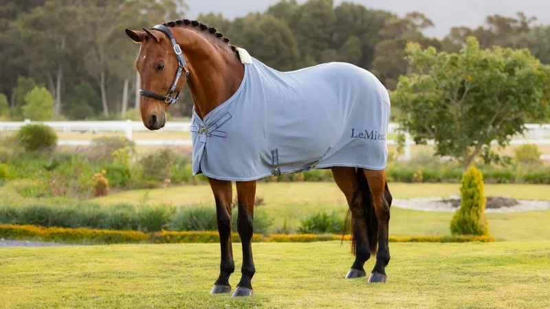 Fleeces, Sheets & Coolers