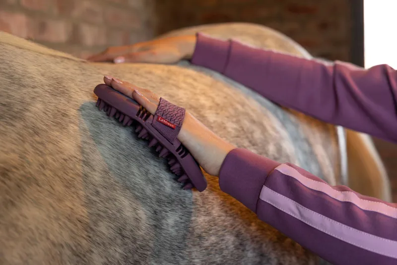 Horse Grooming Equipment