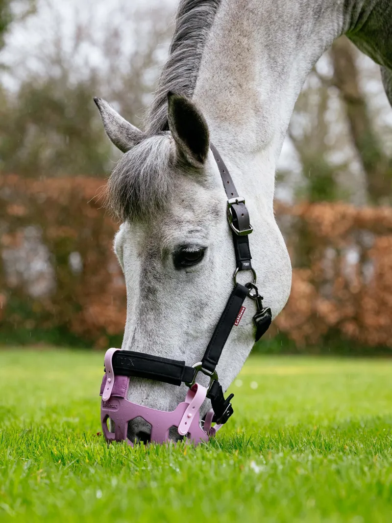 Muzzles