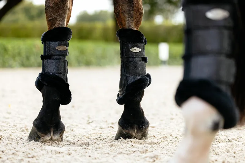 Exercise & Brushing Boots
