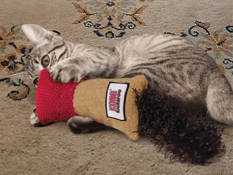 Pet Toys