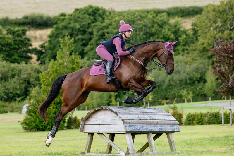 Le Mieux Spring 2026 Colours Mallow