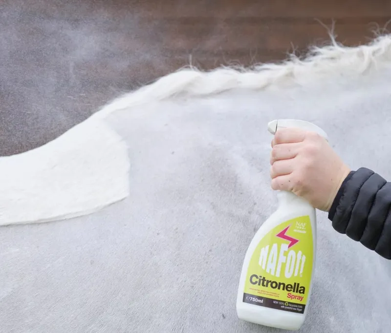 Horse Fly Protection