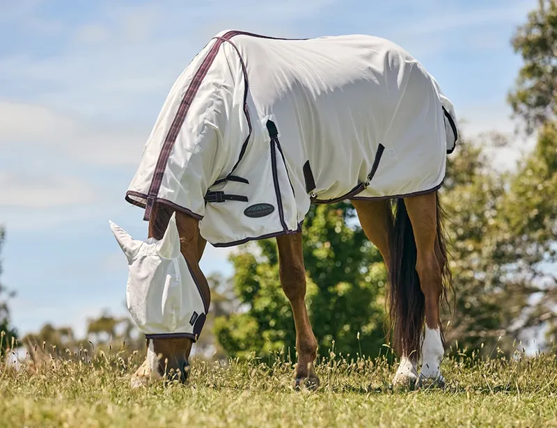 Weatherbeeta Comfitec Essential Fly Sheet Combo in White and Burgundy-6