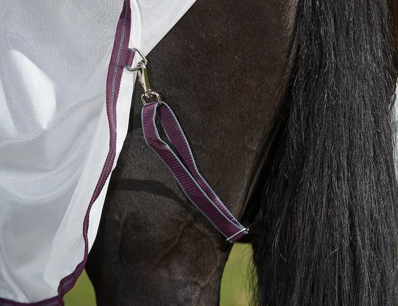 Weatherbeeta Comfitec Essential Fly Sheet Combo in White and Burgundy-3