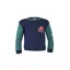 Tikaboo Sweatshirt Dinosaur