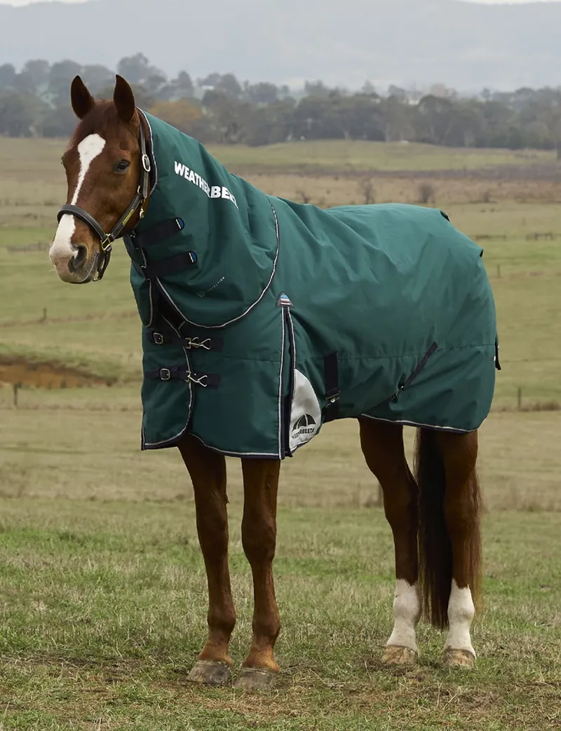 Weatherbeeta ComFiTec Plus Dynamic Turnout Detach-A-Neck Rug 100g Forest Green/Navy